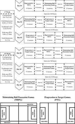 Changing Rules and Configurations During Soccer Small-Sided and Conditioned Games. How Does It Impact Teams’ Tactical Behavior?